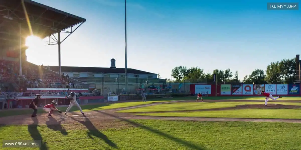 正版周边,情怀加码!👕